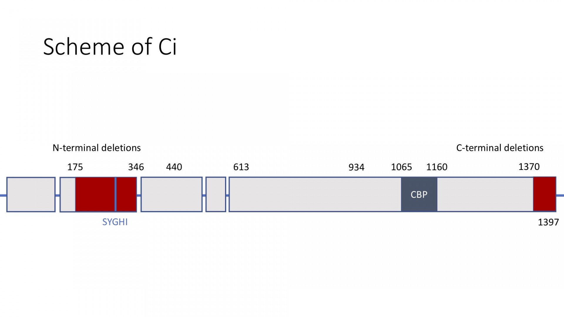 General scheme of Ci 